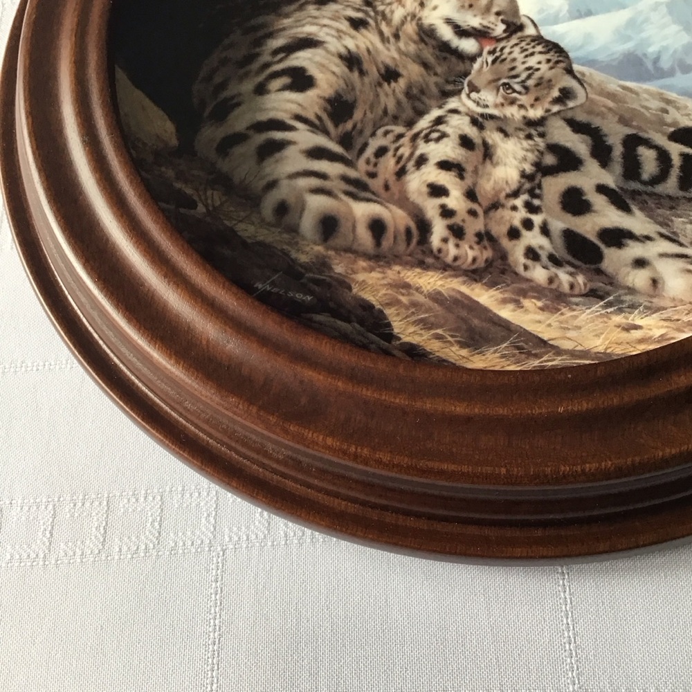 W S George - The Snow Leopard Plate with Van Hygan & Smythe Display Frame - Picture 8 of 12